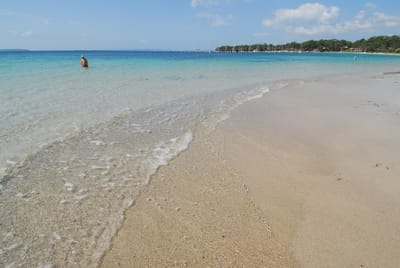 DSC_8027.JPG