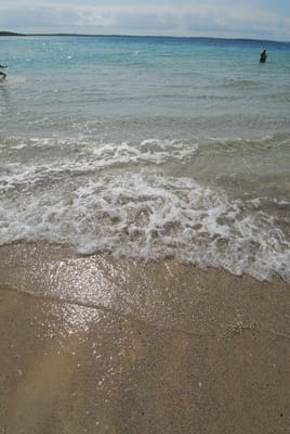 DSC_8028.JPG