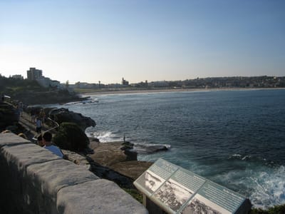 IMG_0525.jpg