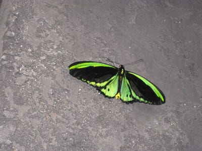 IMG_0563.jpg