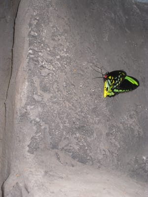 IMG_0569.jpg