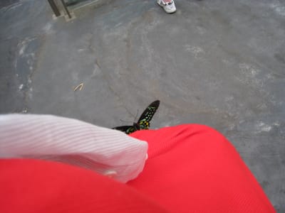 IMG_0570.jpg