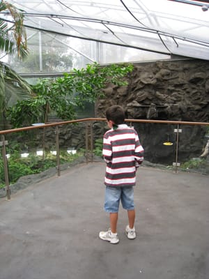 IMG_0575.jpg