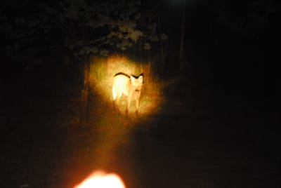DSC_2303.JPG