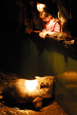 DSC_2305.JPG