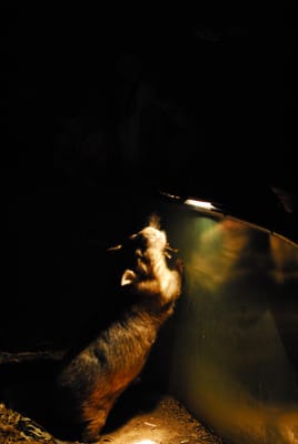 DSC_2307.JPG
