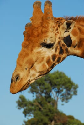 DSC_2313.JPG