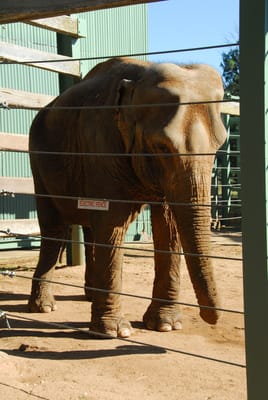 DSC_2341.JPG