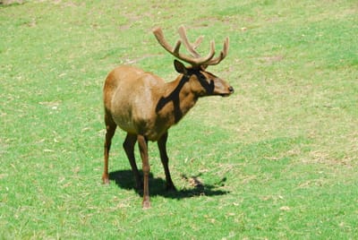 DSC_2346.JPG