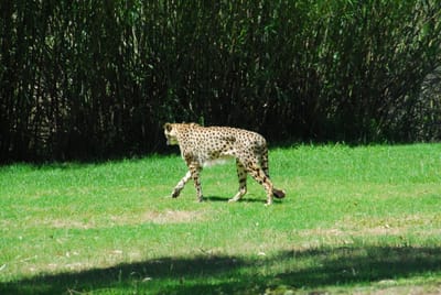 DSC_2355.JPG