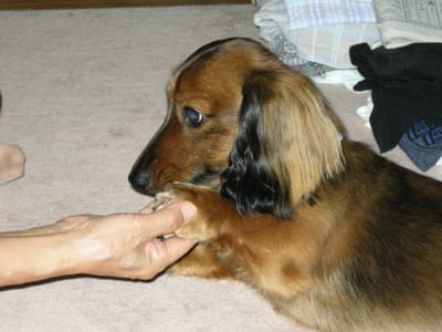 DSCN0380.JPG