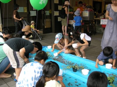 DSCN0419.JPG