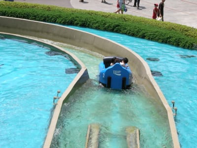 DSCN0447.JPG