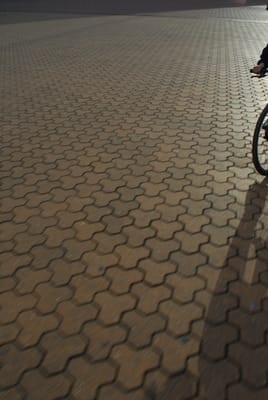DSC_1361.JPG