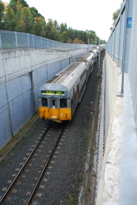 DSC_1365.JPG