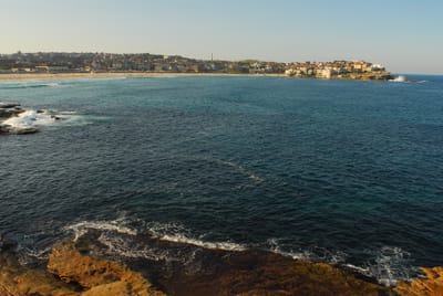 DSC_0489.JPG