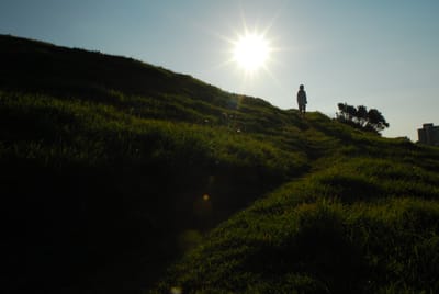 DSC_0497.JPG