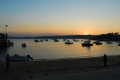 DSC_0511.JPG