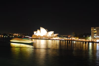 DSC_0520.JPG