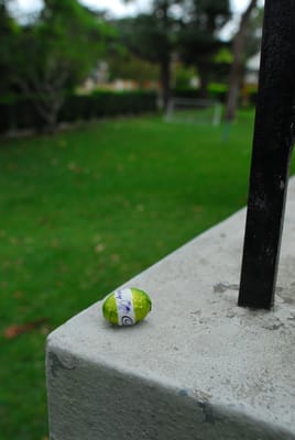 DSC_8901.JPG