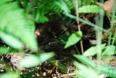 DSC_8312.JPG