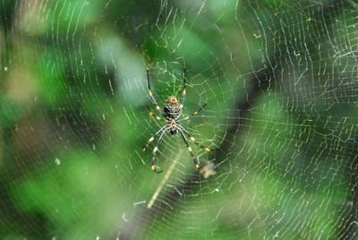 DSC_8313.JPG