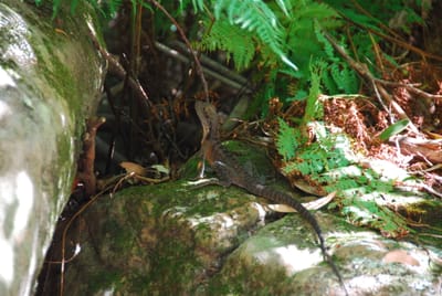 DSC_8314.JPG