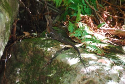 DSC_8315.JPG