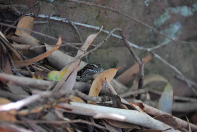 DSC_8317.JPG