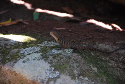 DSC_8319.JPG