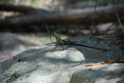 DSC_8320.JPG