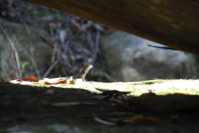 DSC_8321.JPG