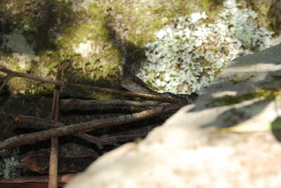 DSC_8322.JPG