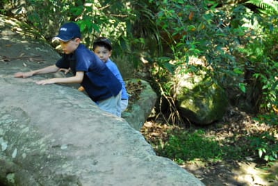 DSC_8323.JPG