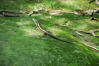DSC_8325.JPG