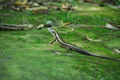 DSC_8327.JPG