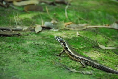 DSC_8328.JPG