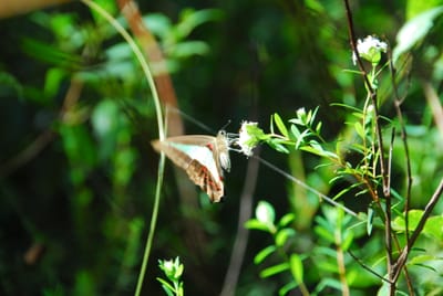 DSC_8331.JPG