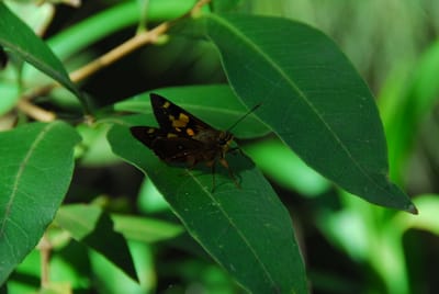 DSC_8333.JPG