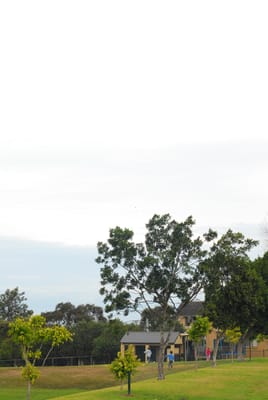 DSC_1314.JPG