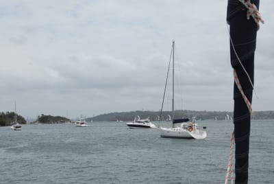 DSC_2214.JPG