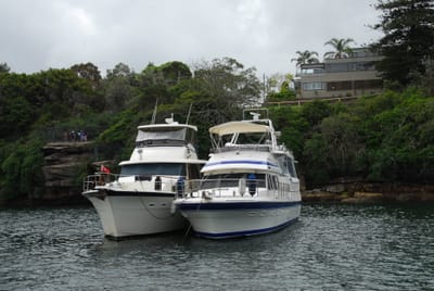DSC_2222.JPG