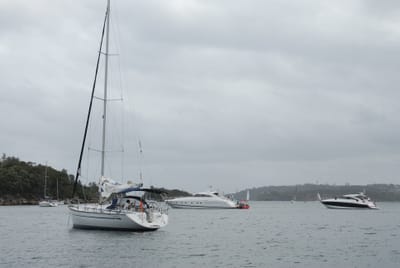 DSC_2225.JPG