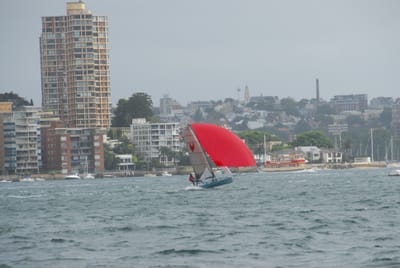 DSC_2234.JPG
