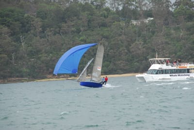 DSC_2242.JPG