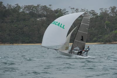 DSC_2246.JPG