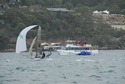 DSC_2248.JPG