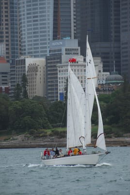 DSC_2249.JPG