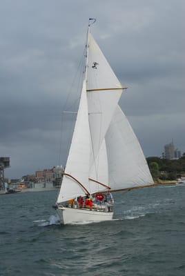 DSC_2251.JPG