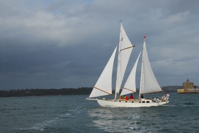DSC_2252.JPG